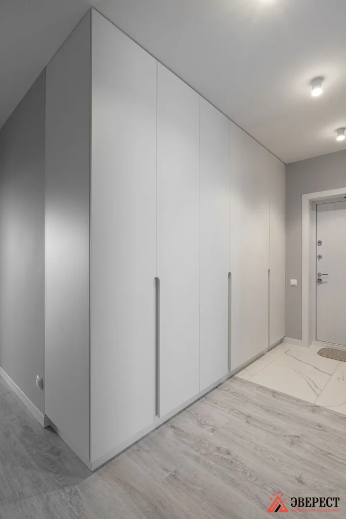 Распашной шкаф в прихожую "Балу"